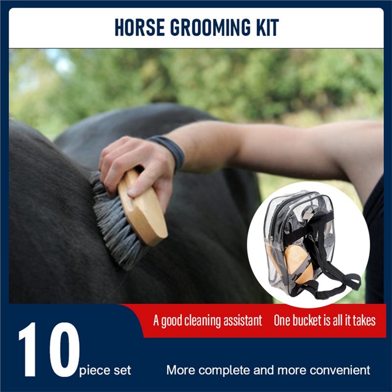 طقم العناية بالخيول (10 قطع)،  - مراجعة Grooming Kit Horse وسعره