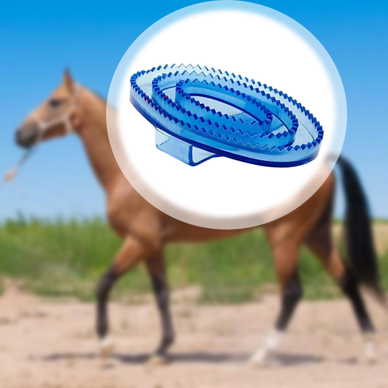 فرشاة تدليك وتنظيف للخيول من م - مراجعة Grooming Kit Horse وسعره