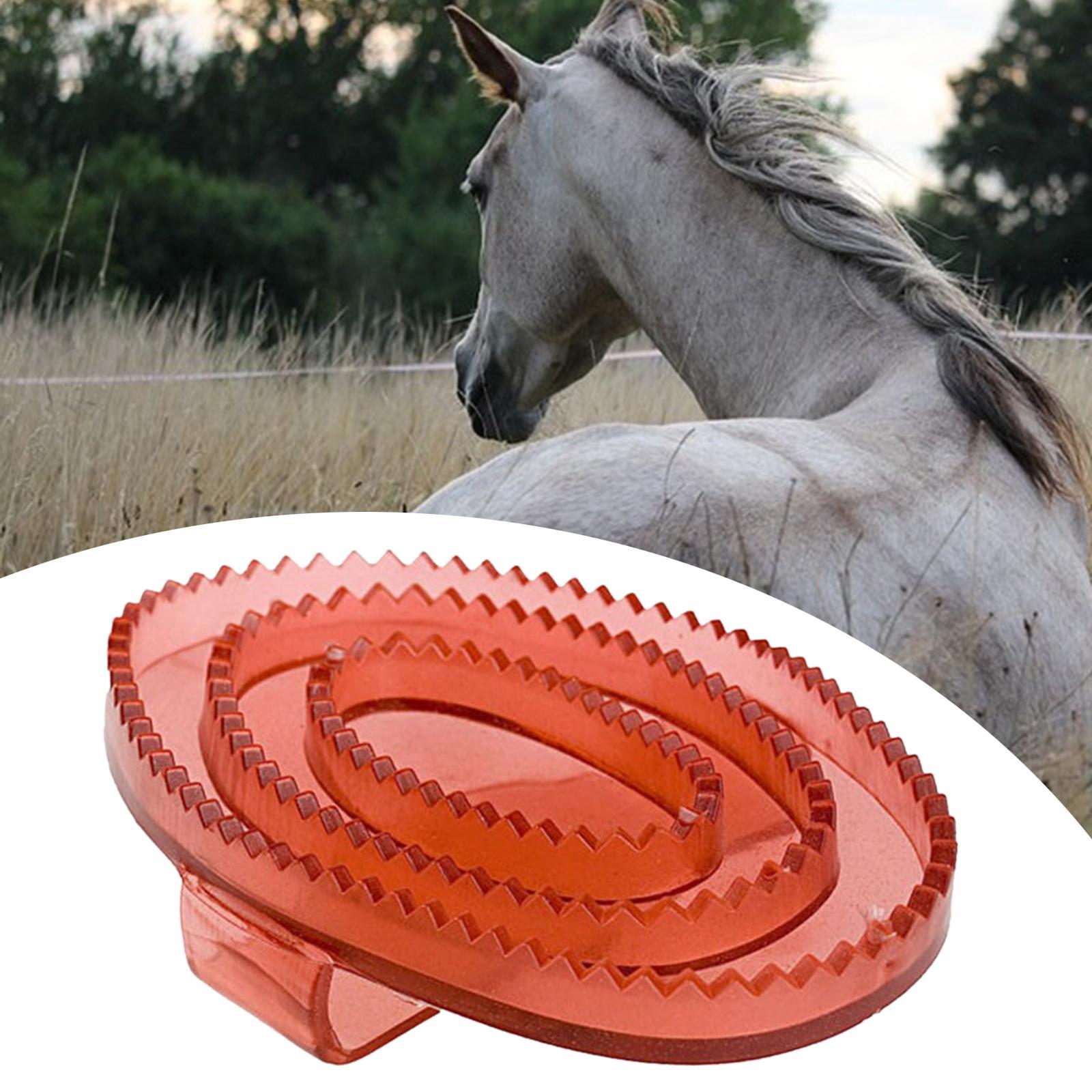 فرشاة تدليك وتنظيف للخيول من م - مراجعة Grooming Kit Horse وسعره